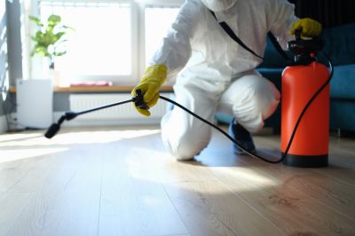 Trapdoor Spider Removal in New Braunfels, TX